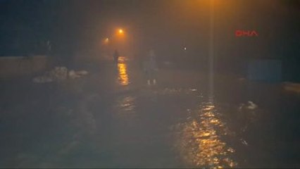 Düzce'de Dere Taştı, Köy Sular Altında Kaldı