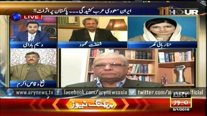Pakistan should not be part of any armed forces' coalition: Hina Rabbani Khar