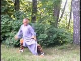 Lecciones de Técnicas Básicas de Kung Fu Shaolin