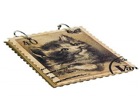 Ура! Долго искал подарок на все случаи жизни - Блокнот Котенок в г. Сочи