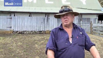 Giant sheep named Sheila gets first trim in six years
