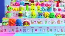 Shopkins Season 1 Collection Toy Genie