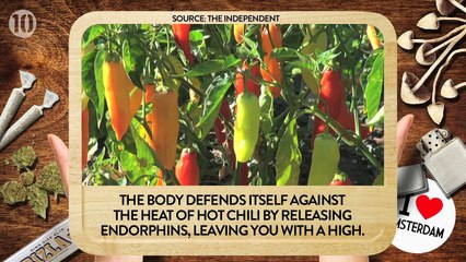 10 Foods That Can Get You High