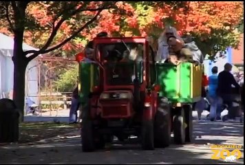 Boo! at the Zoo - Oct. 29-30 at Brookfield Zoo