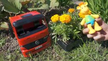 Learn to Plant Flowers with Giraffe Moffy, Truck & Excavator GARDENING Demo Education For