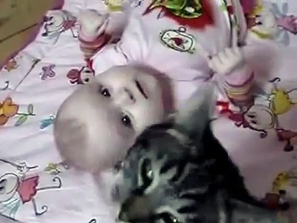 猫はこの赤ちゃんが大好き！