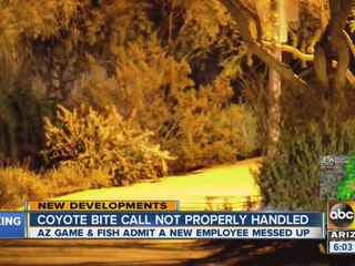 Coyote bite call not properly handled