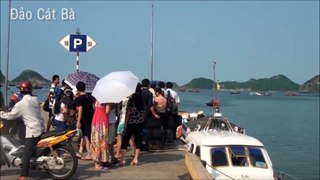 1tour.vn-Du lịch đảo Cát Bà