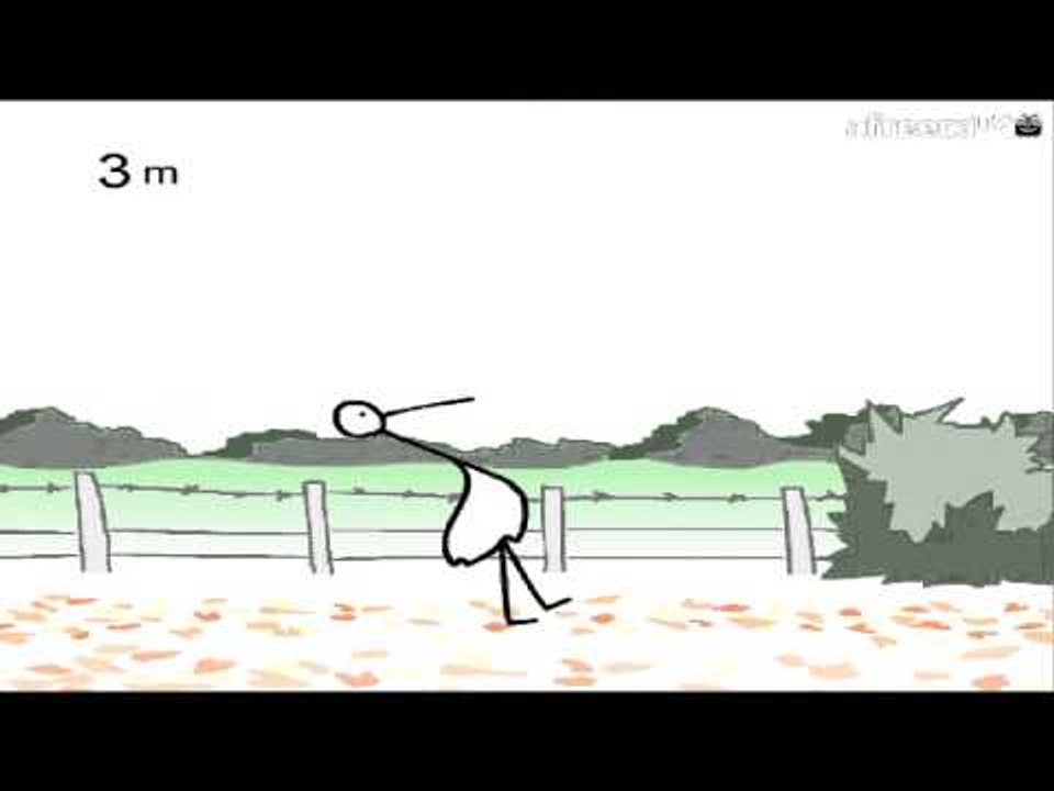 (싱크수정)병맛 황새걷기게임ㅋㅋㅋㅋㅋ - 플래시게임 flash [양띵TV삼성]
