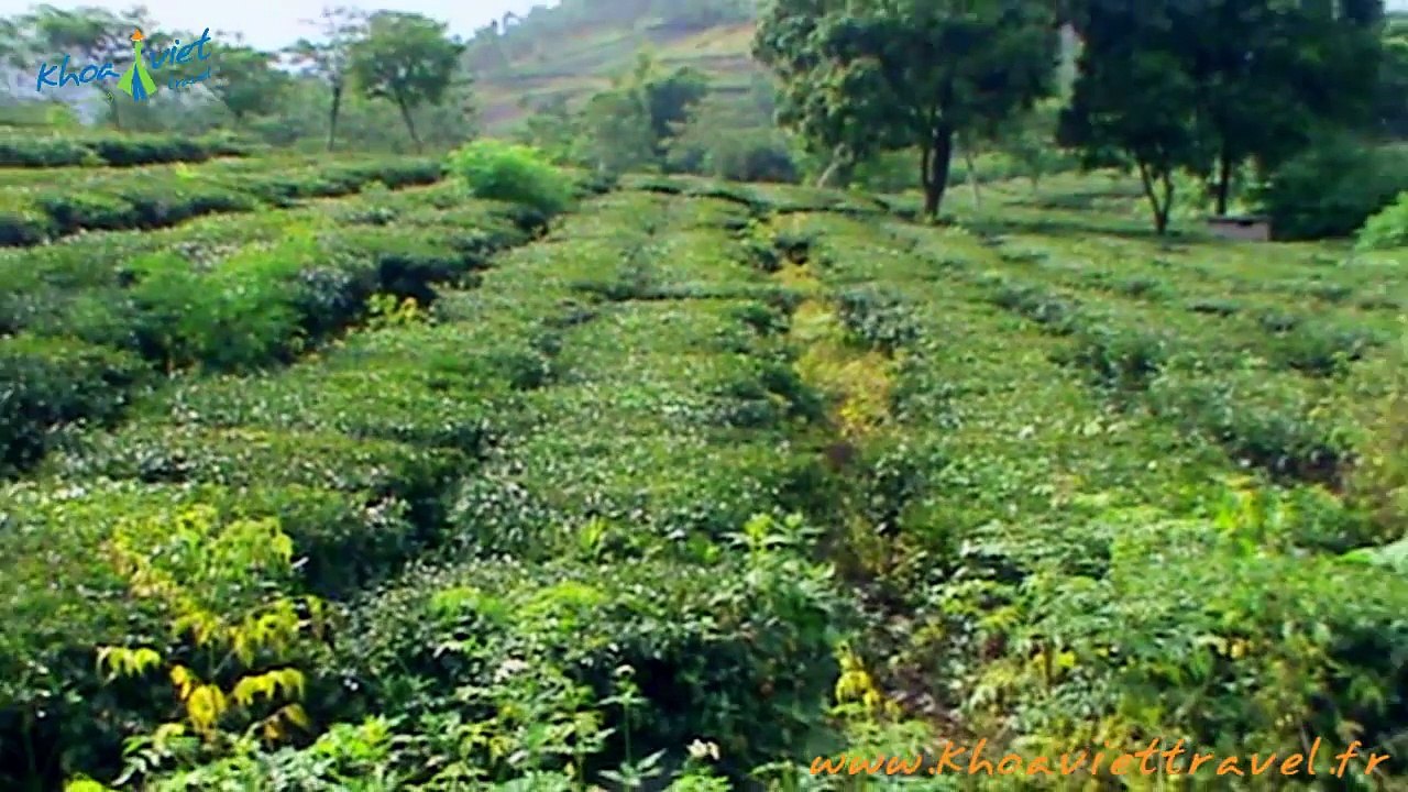 Visit on the way from Nghia Lo to MU CANG CHAI - Yen Bai - Vietnam Trekking Adventure Travel Tour in the North