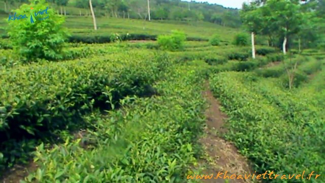 Visit on the way from Nghia Lo to Mu Cang Chai - Yen Bai - Vietnam Trekking Travel