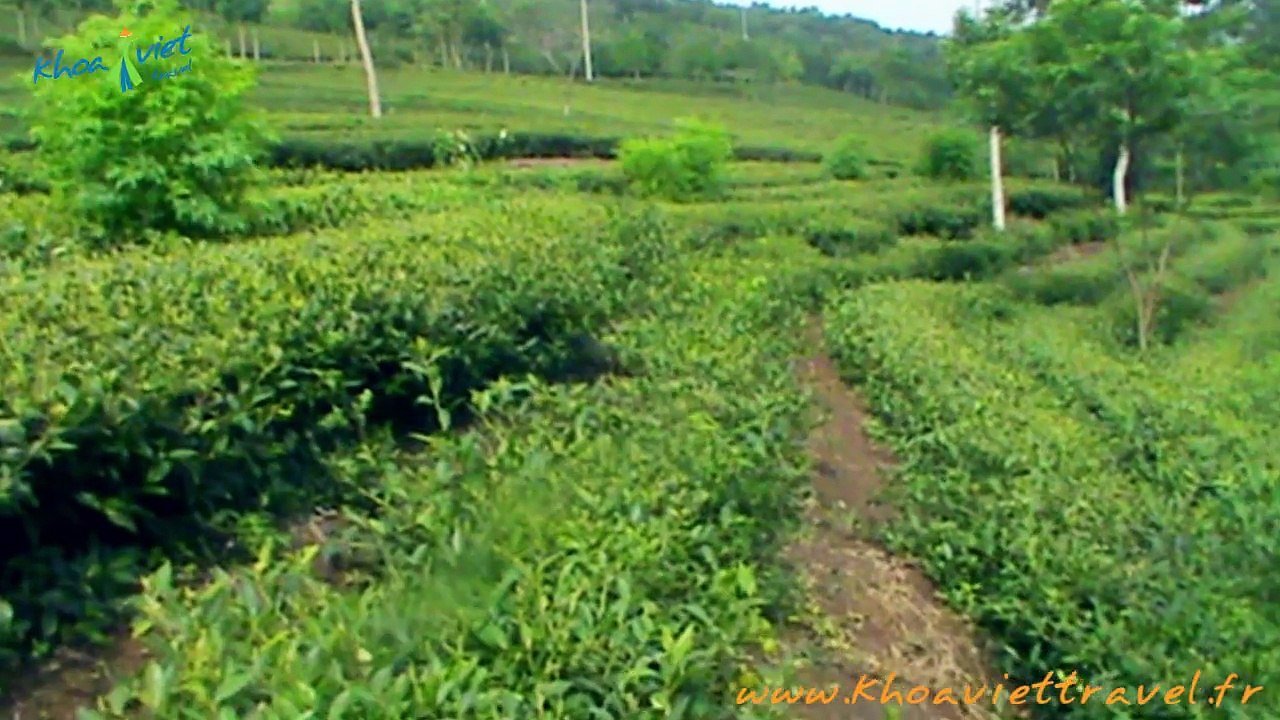 Visit on the way from Nghia Lo to Mu Cang Chai - Yen Bai - Vietnam Trekking Travel
