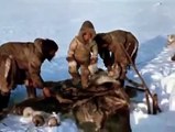 Documentary │ Inuits fishing in the ice 1967 │ Lake Trout
