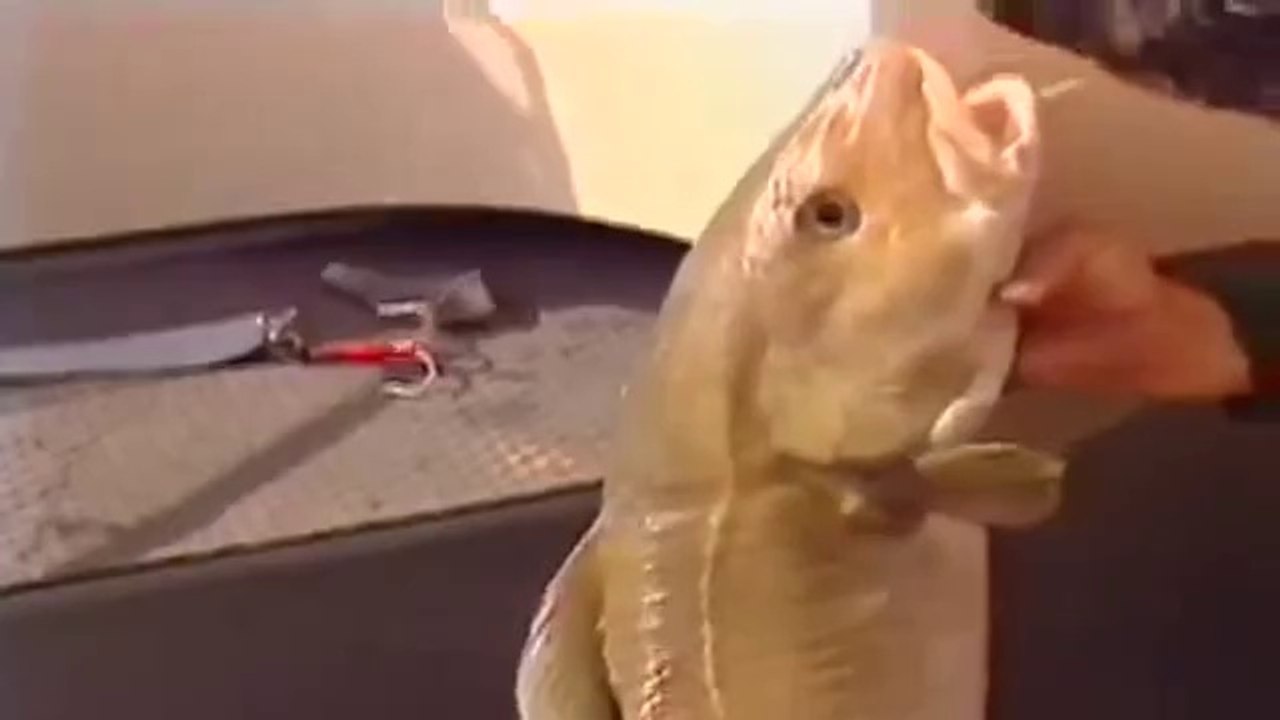 Go Fishing with John Wilson - Deep Sea Wrecking