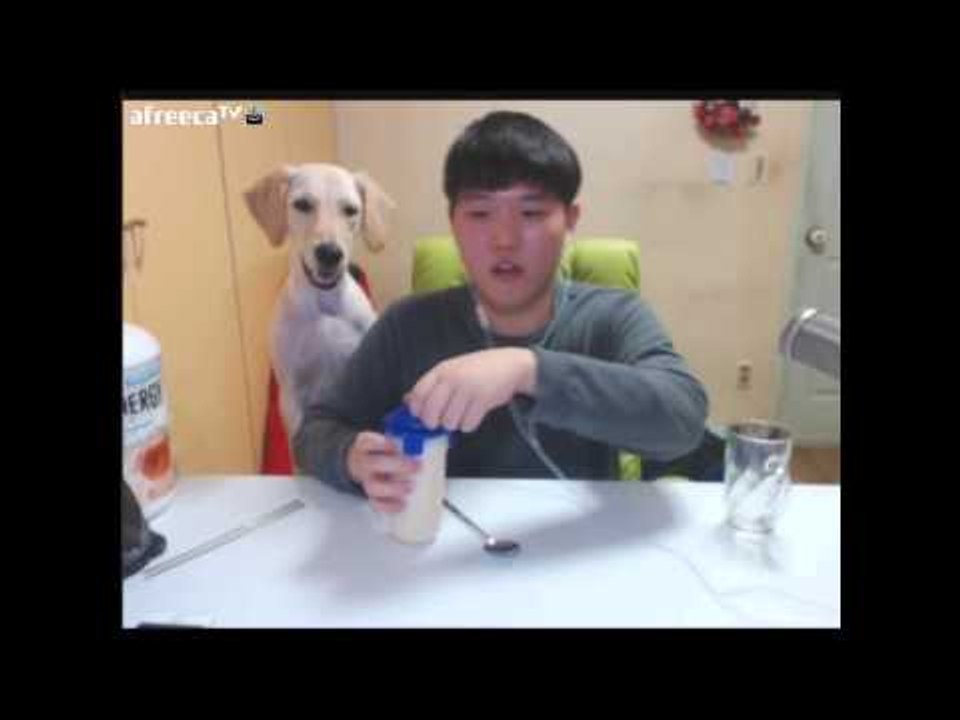 다이어트중 근육을 붙이기위해 먹는 보충제먹방 헤헤[양띵TV미소]먹방