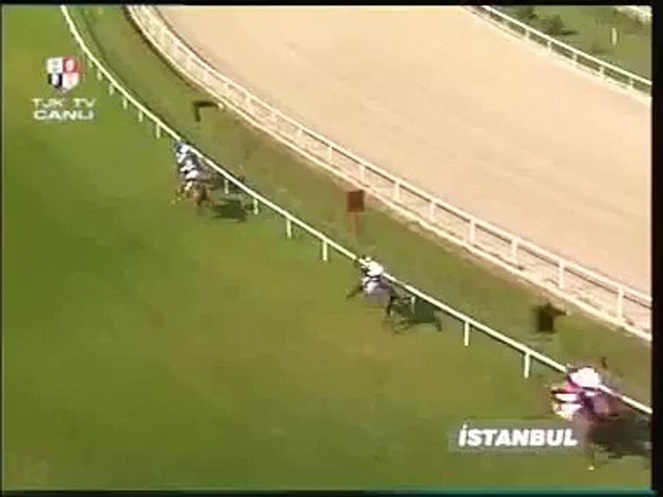 ŞAMPİYON Ribella