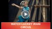 lucky irani circus (2)
