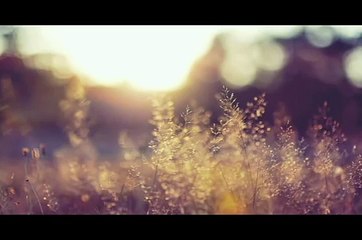 maulana tariq jameel most beautiful bayan ever