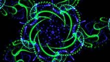 03[10020-10320]