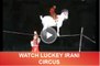 lucky irani circus (6)