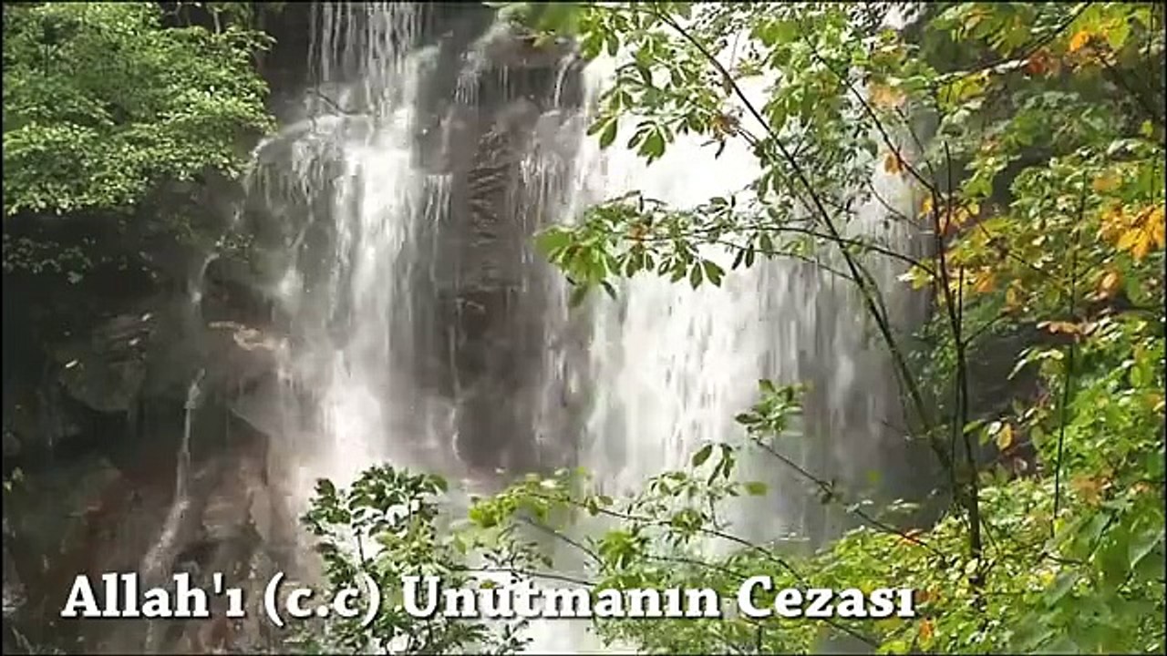 Allah'ı c.c unutmanın cezası - Timurtaş Hoca