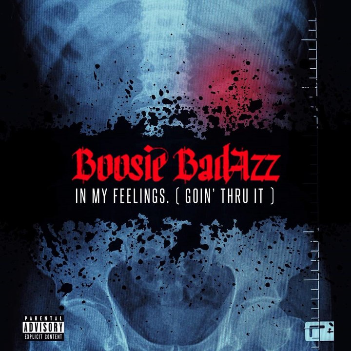 Boosie Badazz - In My Feelings. (Goin’ Thru It) 2015 Forgive Me Being Lost