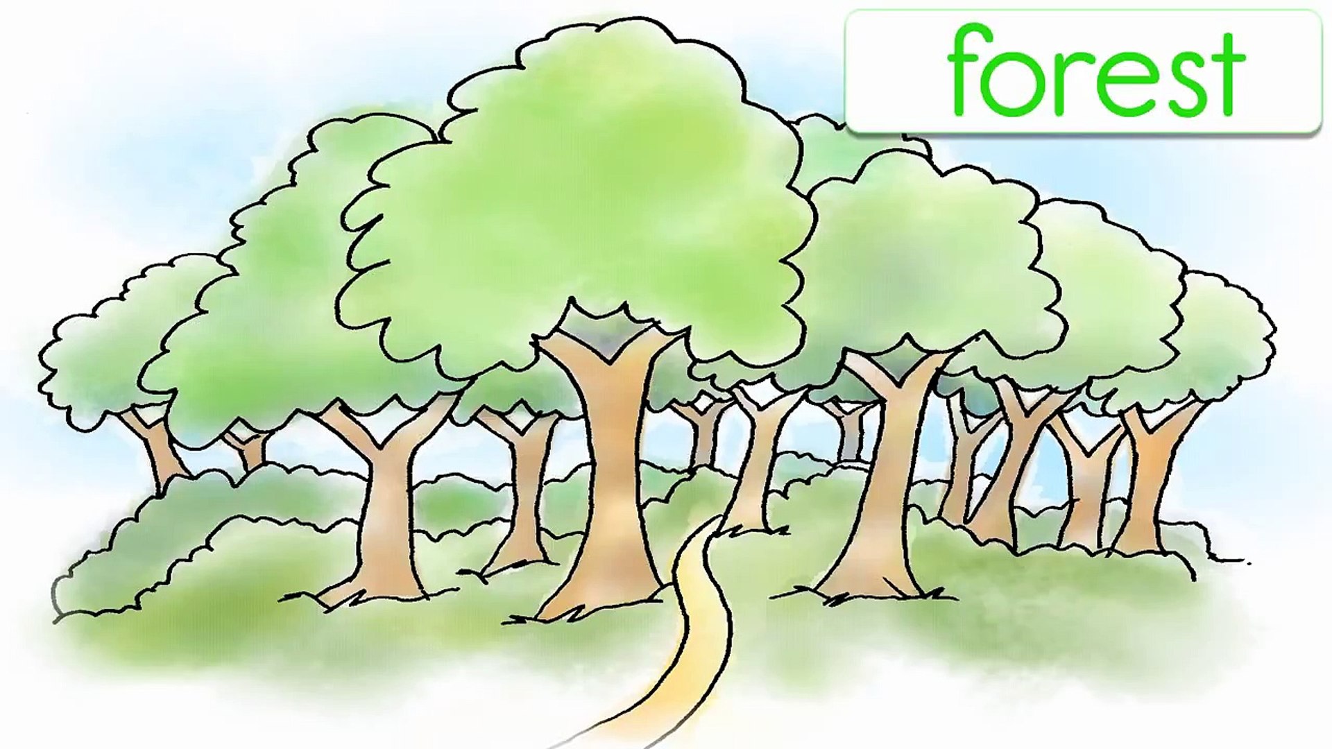 ⁣Learn Nature Vocabulary!