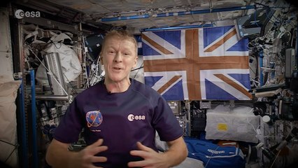 Happy New Year from space