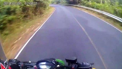 Un motard croise un éléphant en Thaïlande