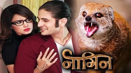 Kabir (Rajat Tokas) Enters NAAGIN As Ichchhadhari Nevalaa