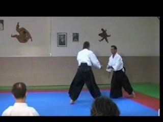 Interview de Bernard Palmier chute Aïkido)