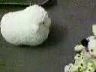 Mouton vs Marsupilami: Which Creature Reigns Supreme? 🐾