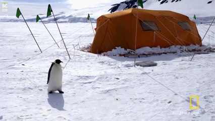 Hey Siz de Kimsiniz?