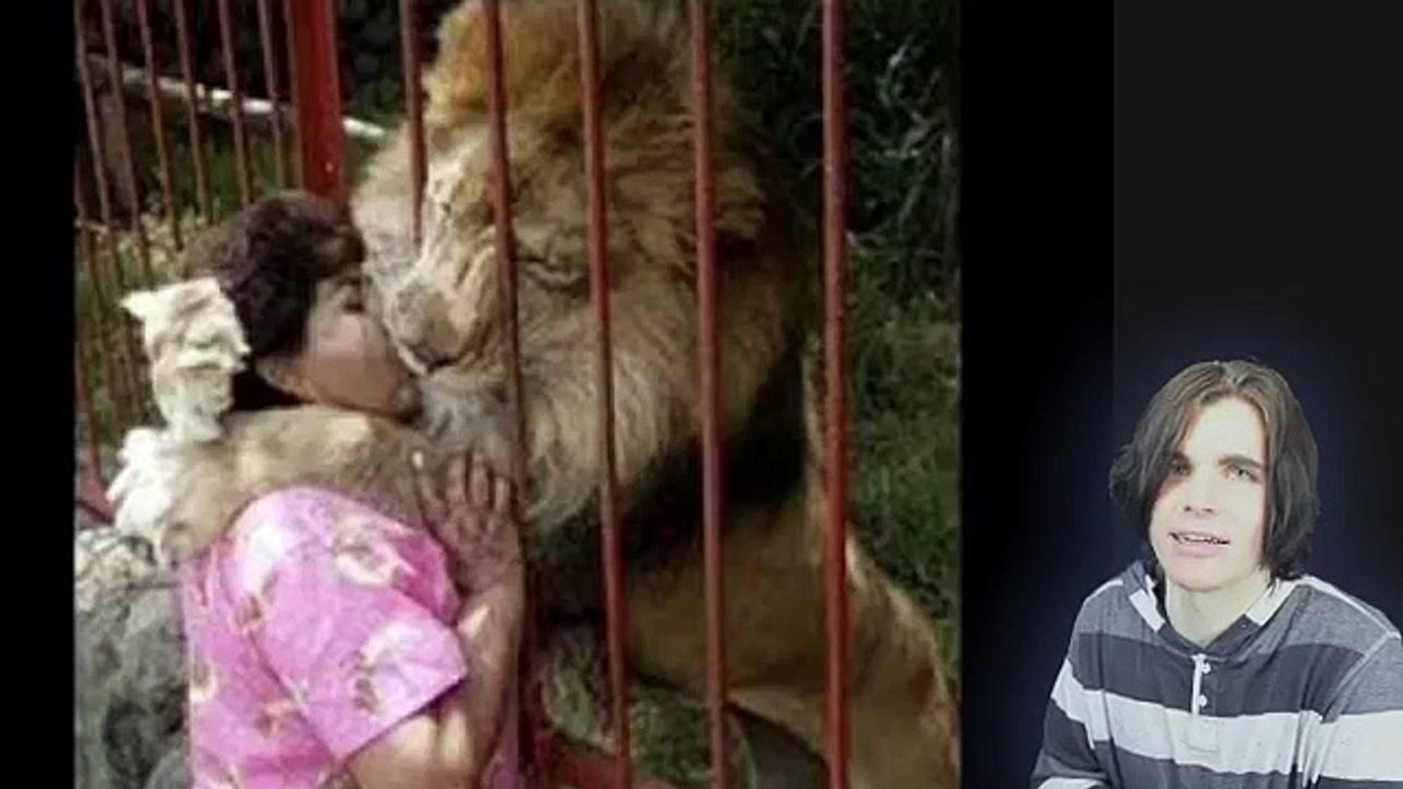 Funny Animal FAIL