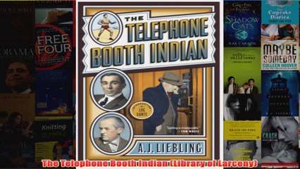 The Telephone Booth Indian Library of Larceny