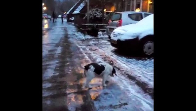 De ijzel zorgt niet alleen voor veel overlast maar ook voor pret - RTV Noord