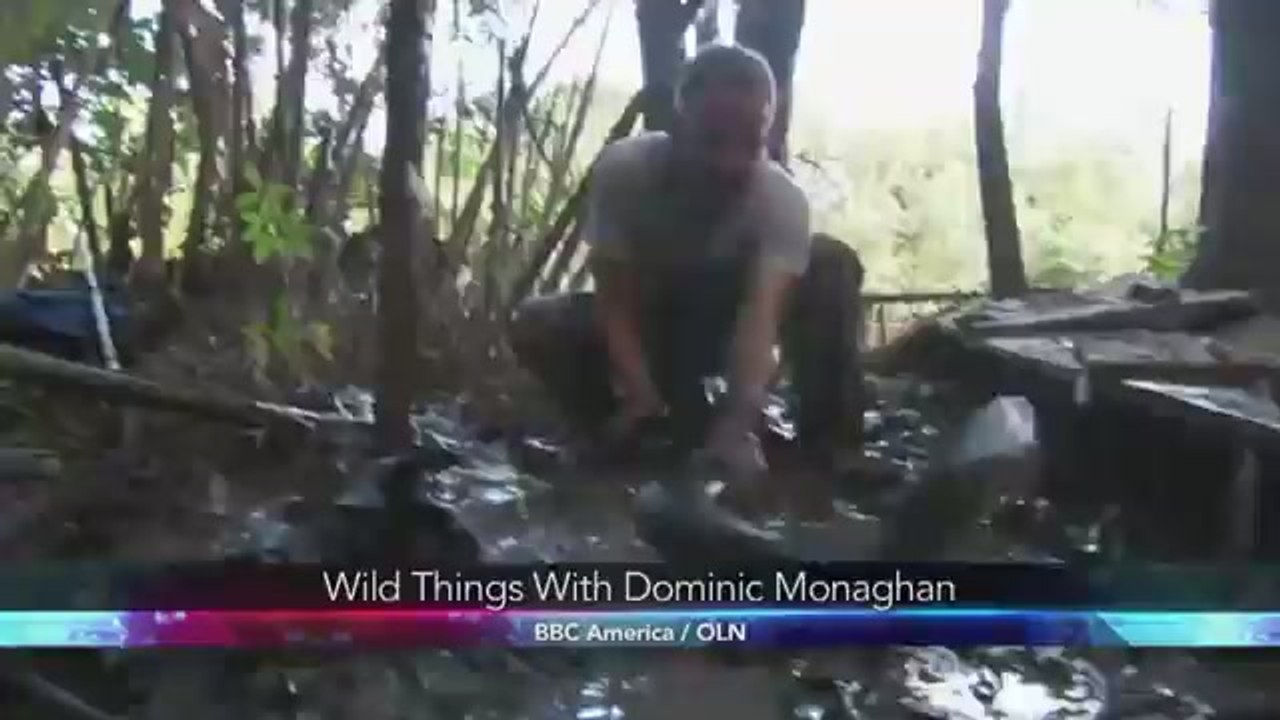 Dominic Monaghan on Wild Things with Dominic Monaghan
