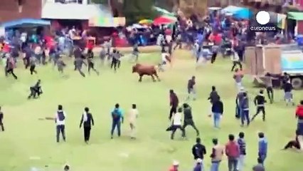 Touros escapam e deixam oito pessoas feridas em festival no Peru; veja vídeo