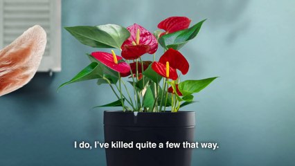 Parrot Pot #1 - Gardening for the forgetful - CES 2016
