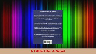 PDF Download  A Little Life A Novel Download Online