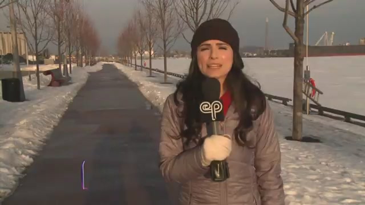 Thieves, Vampires, Plants, & Zombies All Hit Shelves This Week!