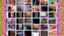 Cookieswirlc Face Reveal   Cookie Swirl Fan Questions & Answers Video
