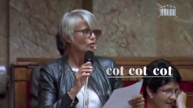 Macho Politico, le documentaire - Bande annonce - CANAL+