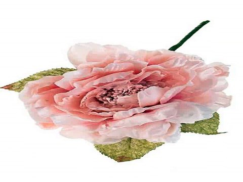 Ура! Долго искал подарок на день рождения - Цветок декор. Прекрасный пион в г. Сочи