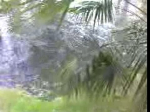 Claude François - Moulin de Dannemois 4