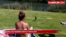 Bikinili Kız Güneşlenirken Kobra Yakaladı