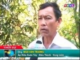 Nhiều nông dân xã Hiếu Thành bị ảnh hưởng năng suất lúa do thuốc BVTV