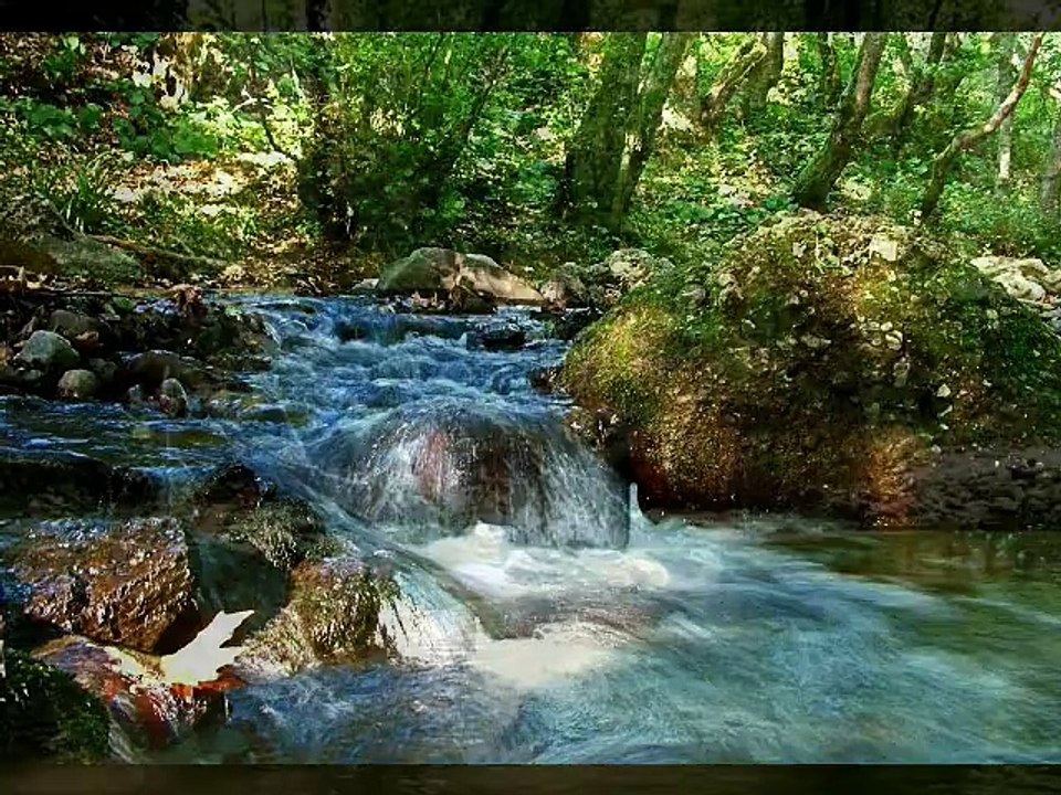 Terapi