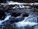 Natural Water Sounds / Babbling Brook / Meditation Nature Sounds / Rain Forest Sounds / Re