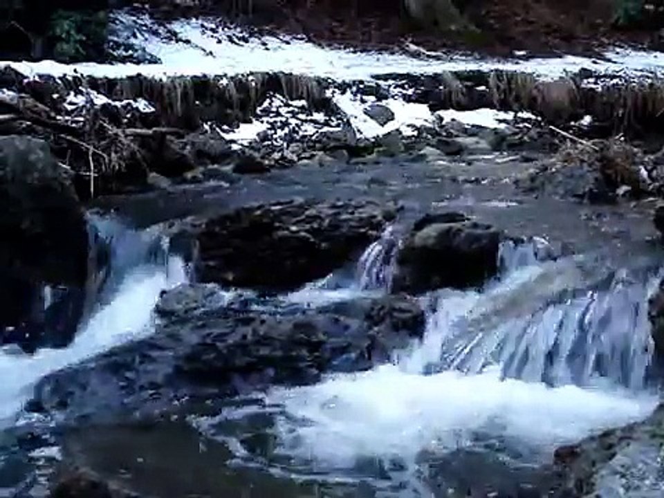 Natural Water Sounds / Babbling Brook / Meditation Nature Sounds / Rain Forest Sounds / Re